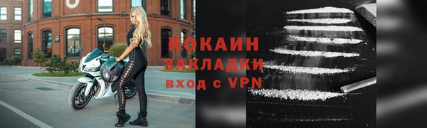шишки Богородицк