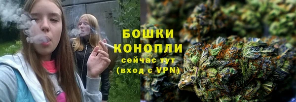 шишки Богородицк
