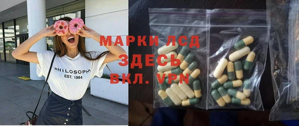 шишки Богородицк