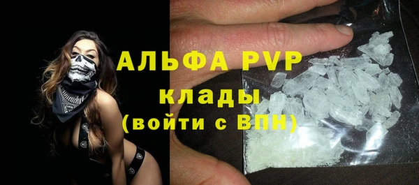 шишки Богородицк