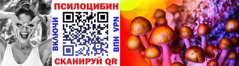 купить   Верещагино  Галлюциногенные грибы мицелий 